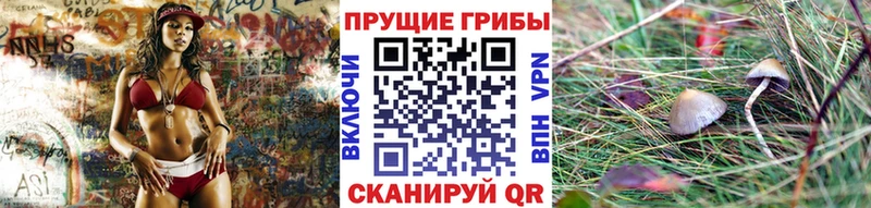 Псилоцибиновые грибы MAGIC MUSHROOMS  Таруса 